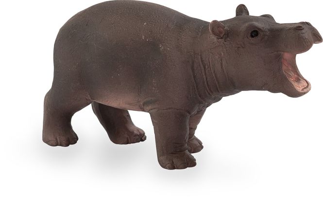 Hovedbilde Mojo Flodhest Unge